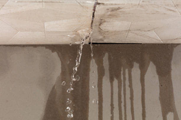 Professional Structural Drying technician working in Lake Nebagamon, WI